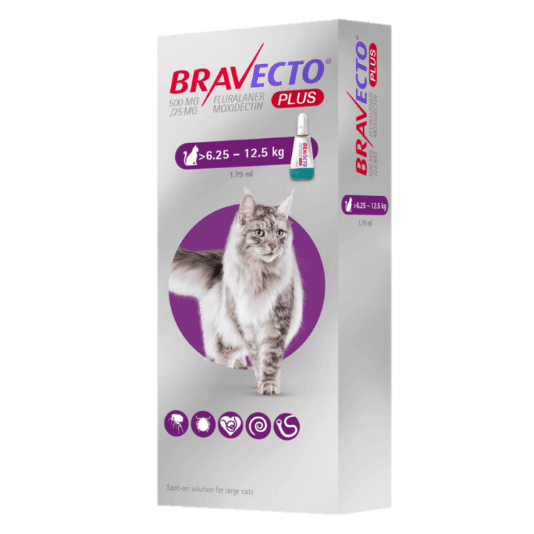 Bravecto Plus 500Mg. Spot-On Cats (6.25Kg – 12.5Kg)