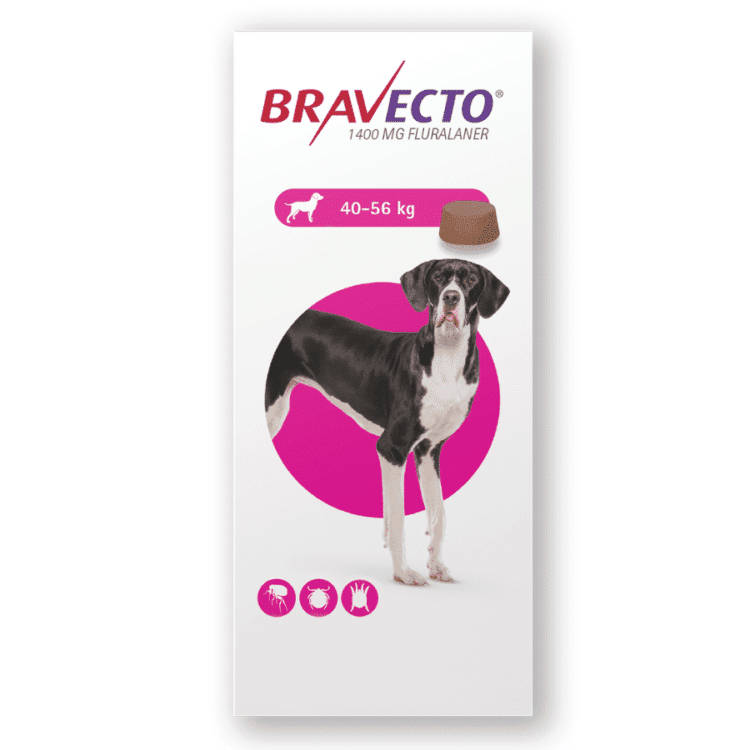 Bravecto 1400mg. (40Kg – 56Kg)