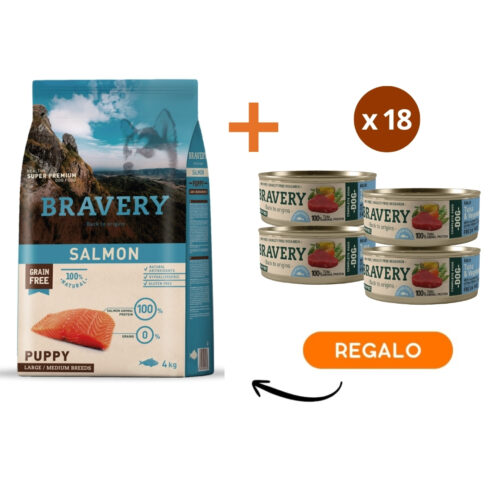 Bravery Salmon Puppy Large/Medium Breeds