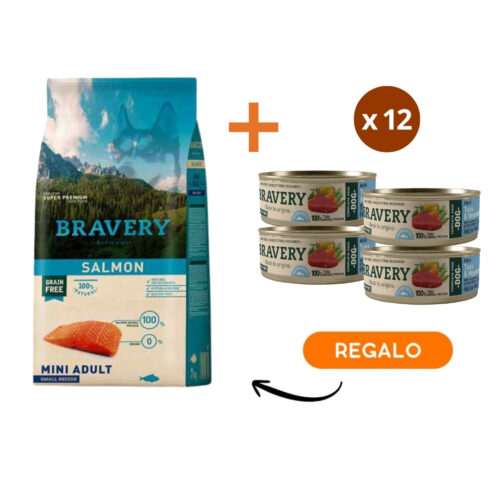 Bravery Salmon Mini Adult Small Breeds