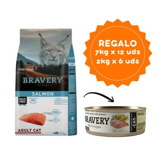 Bravery Salmon Adult Cat