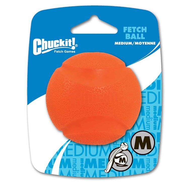 Chuck It! Fetch Ball Medium