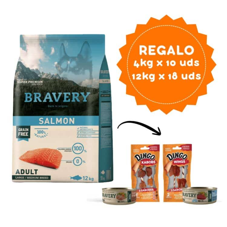 Bravery Salmon Adult Large/Medium Breeds