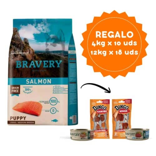 Bravery Salmon Puppy Large/Medium Breeds