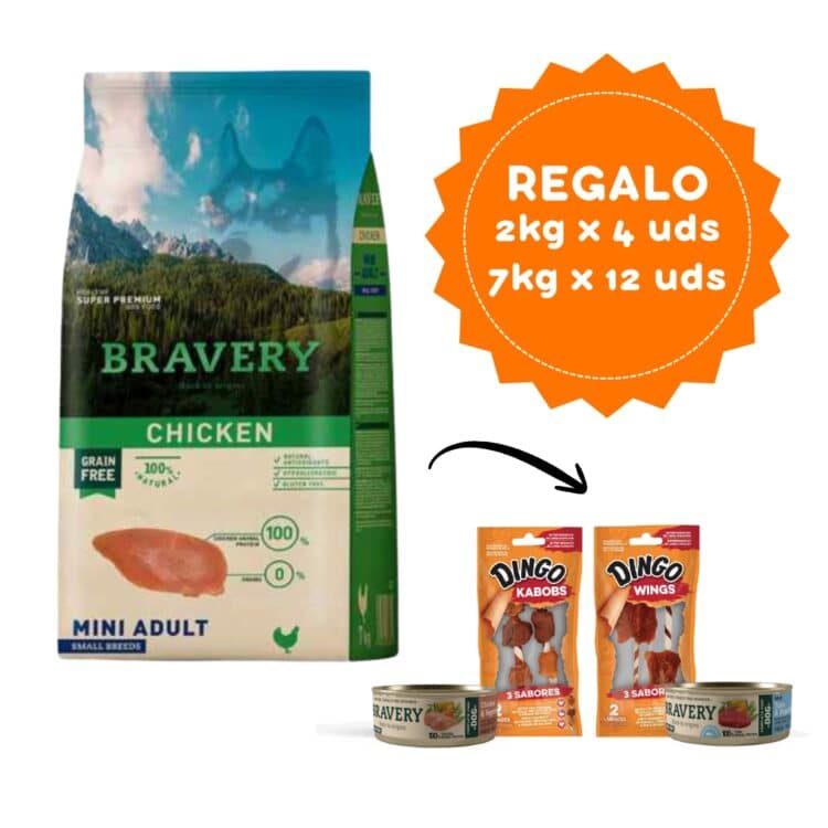Bravery Chicken Mini Adult Small Breeds