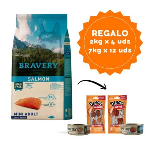 Bravery Salmon Mini Adult Small Breeds