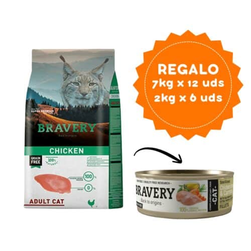 Bravery Chicken Adult Cat