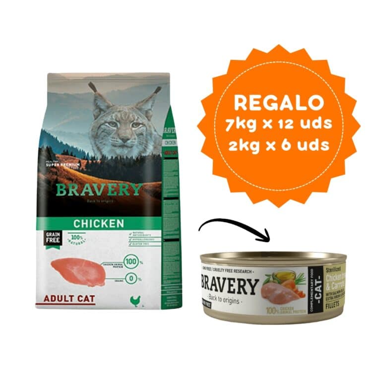 Bravery Chicken Adult Cat