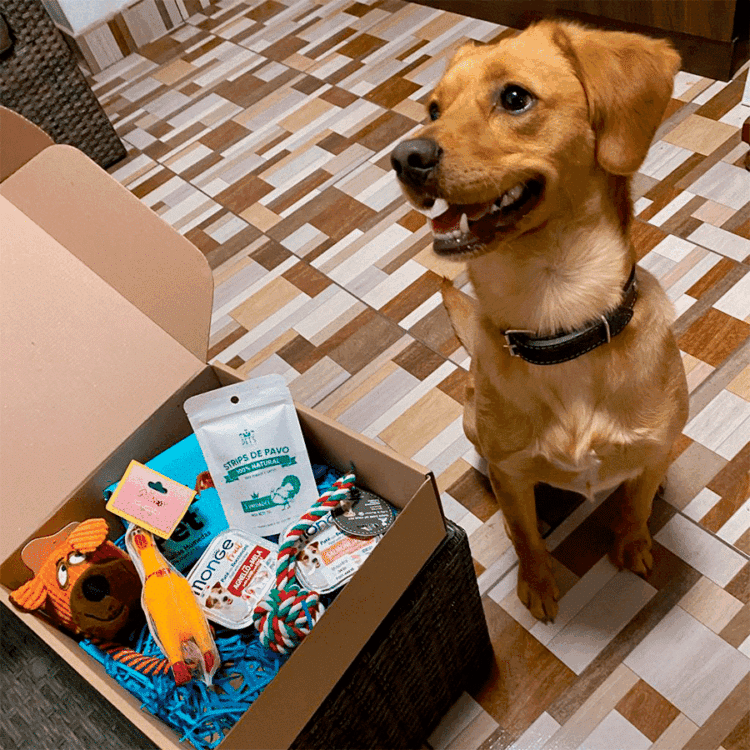 Caja Navideña Perro - Imagen 2