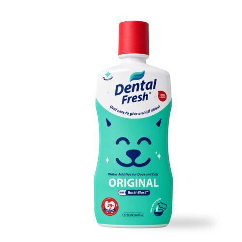 Dental Fresh Original Dog 17 oz