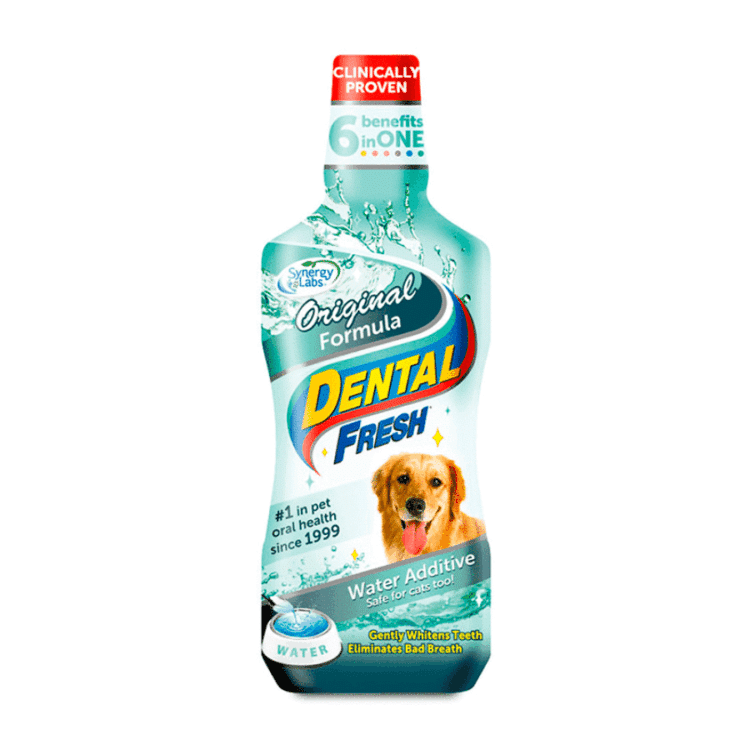 Dental Fresh Original Dog 17 oz