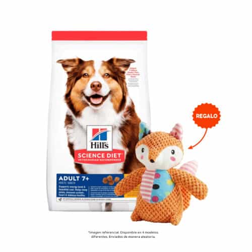 Hills SD Perros Mature Active Longevity 7+ Chicken Meal, Barley And Rice Recipe