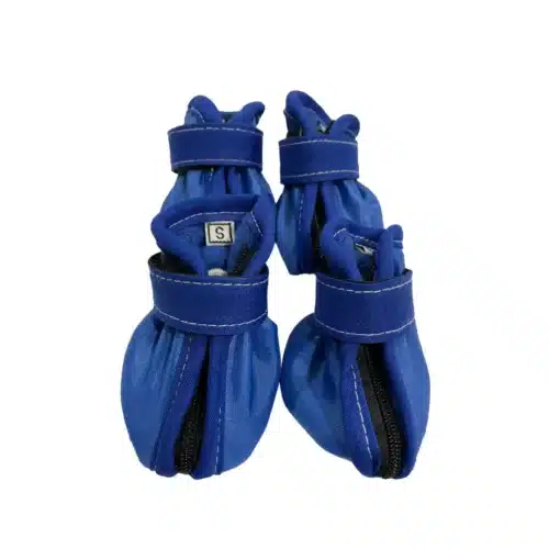 Zapatos Azul