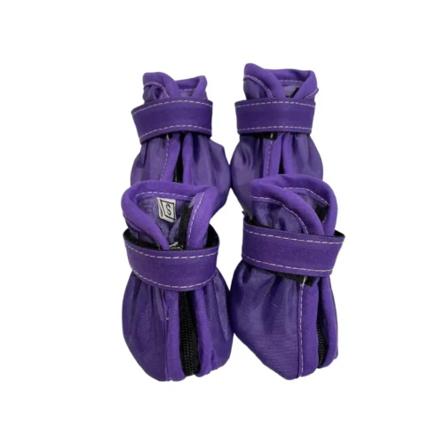 Zapatos Morado