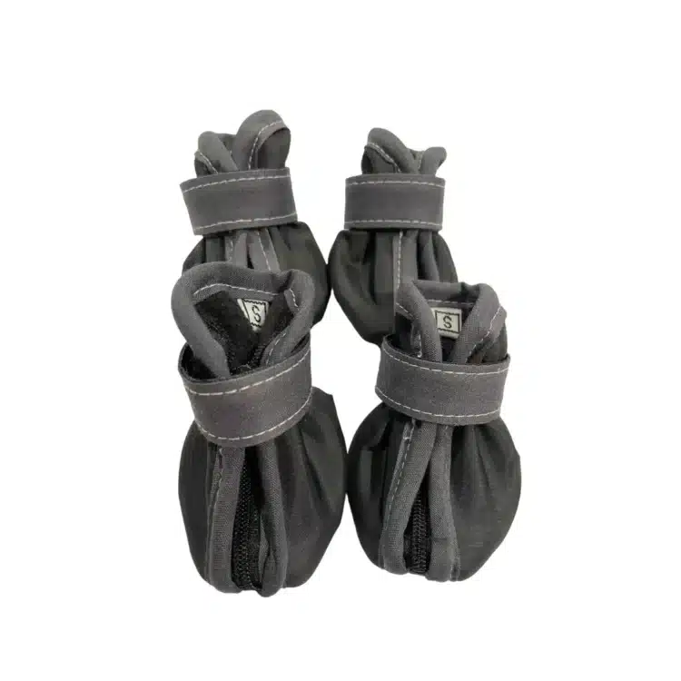 Zapatos Plomos