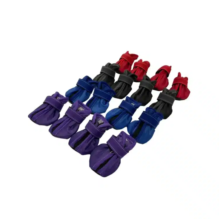 Zapatos Rojos - Imagen 2
