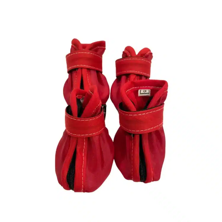 Zapatos Rojos