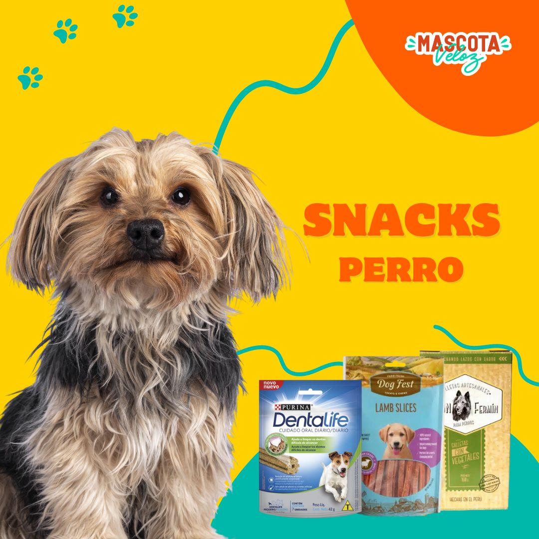 mascota