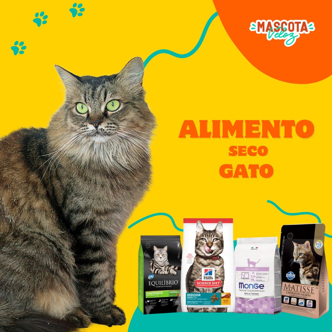 mascota