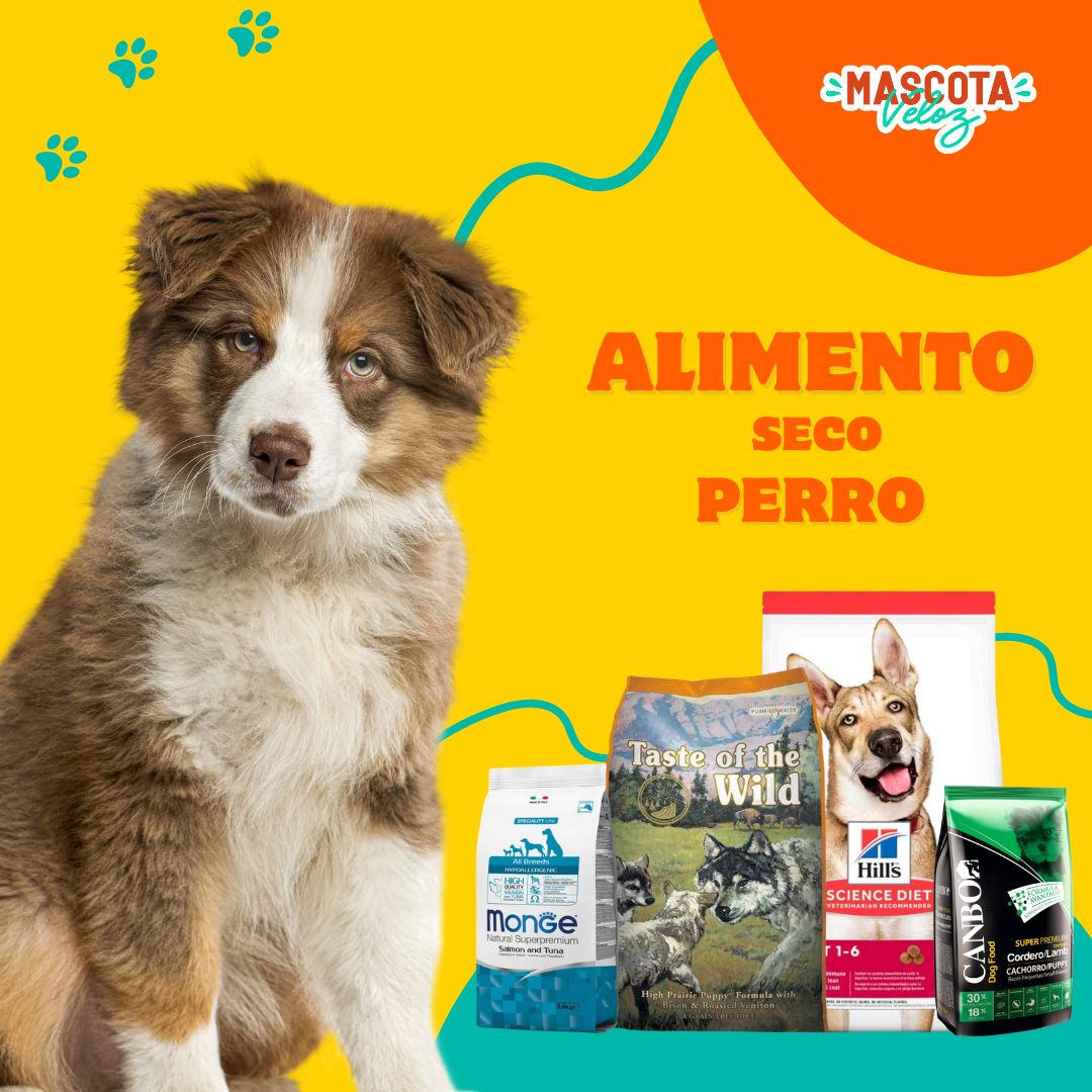 mascota