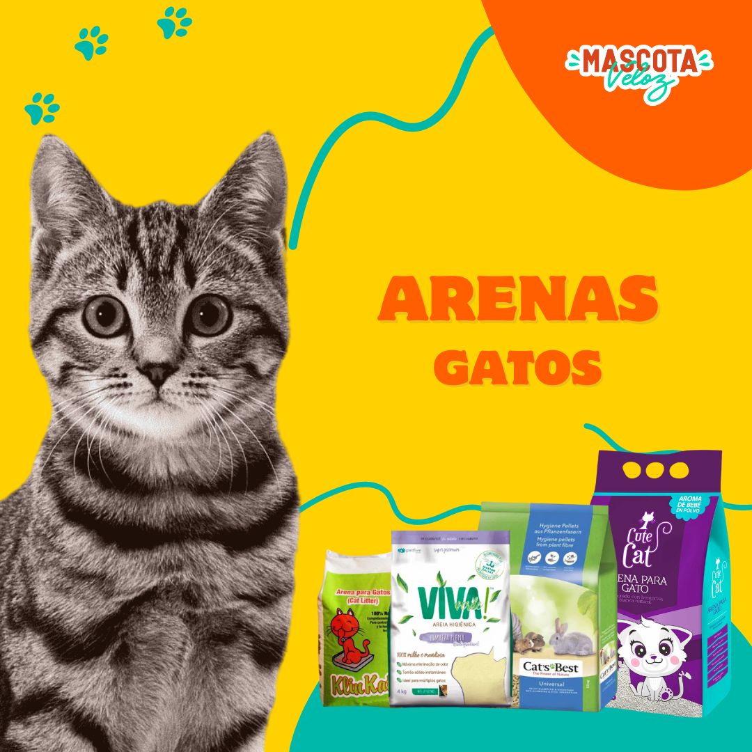 mascota