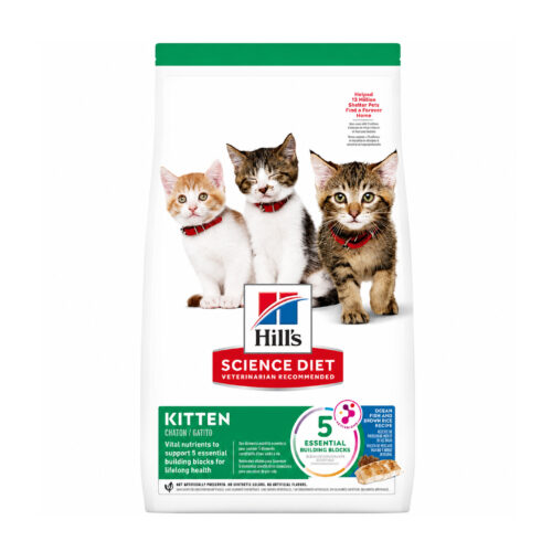 Hills SD Kitten Ocean Fish
