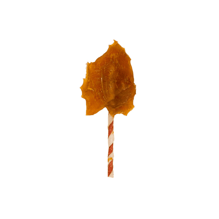 Dingo Wings 3 Sabores x 2 und - Imagen 2