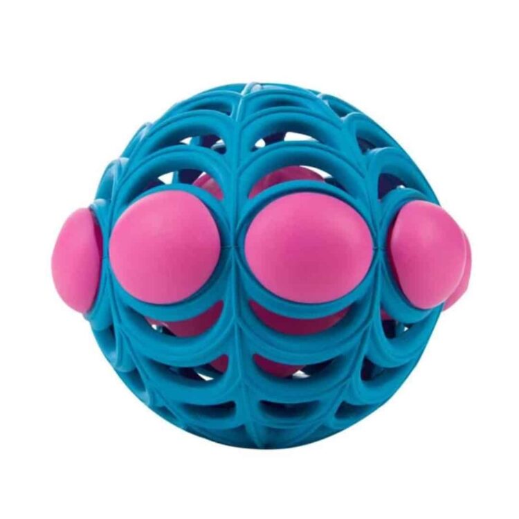 JW Arachnoid Ball Medium - Imagen 2