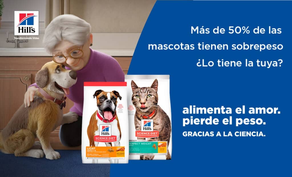 mascota