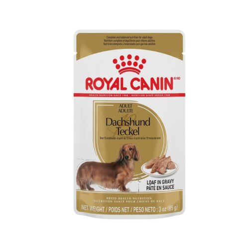 Royal Canin Dachshund Sobre Loaf in Gravy Bhn