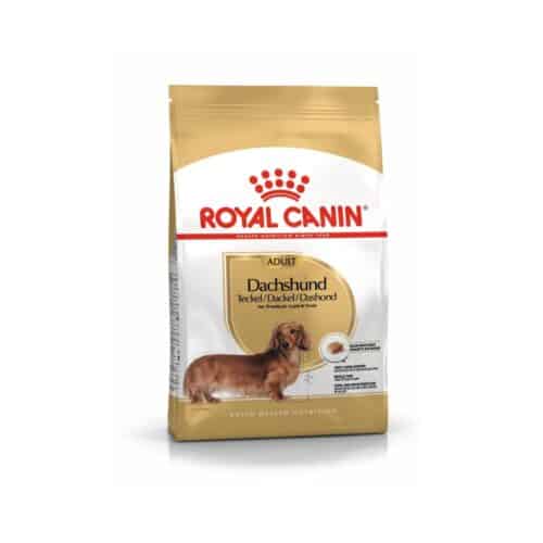 Royal Canin Adult Dachshund Bhn