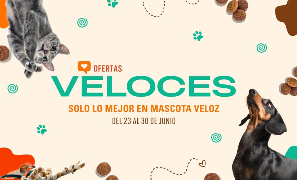 mascota