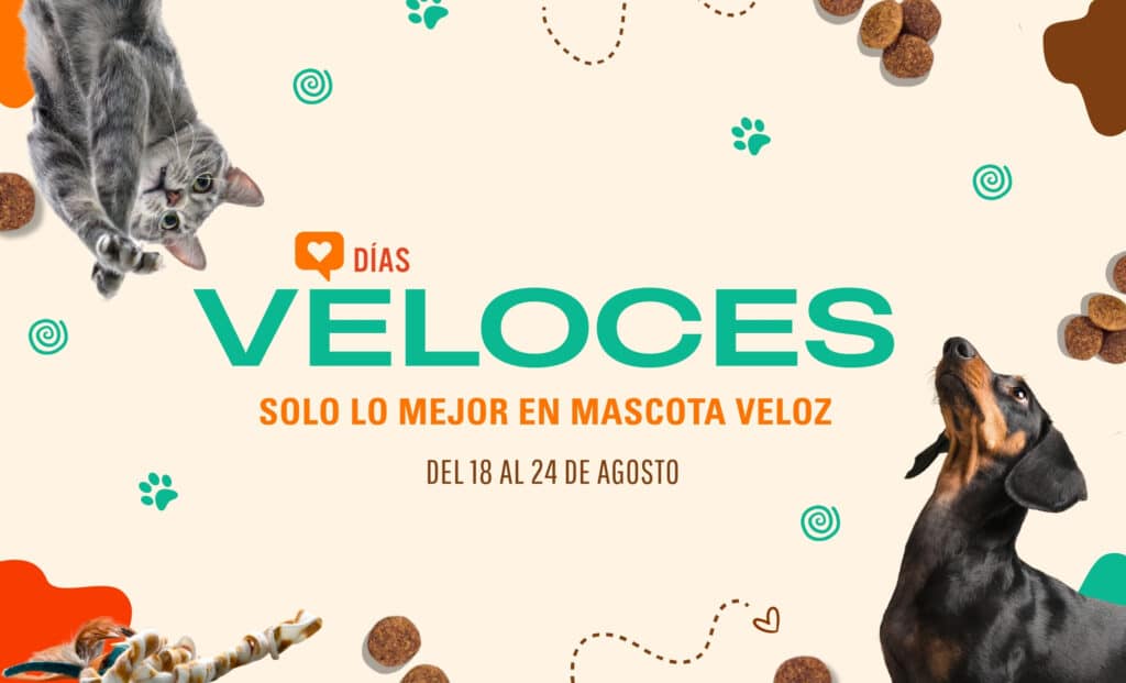 mascota