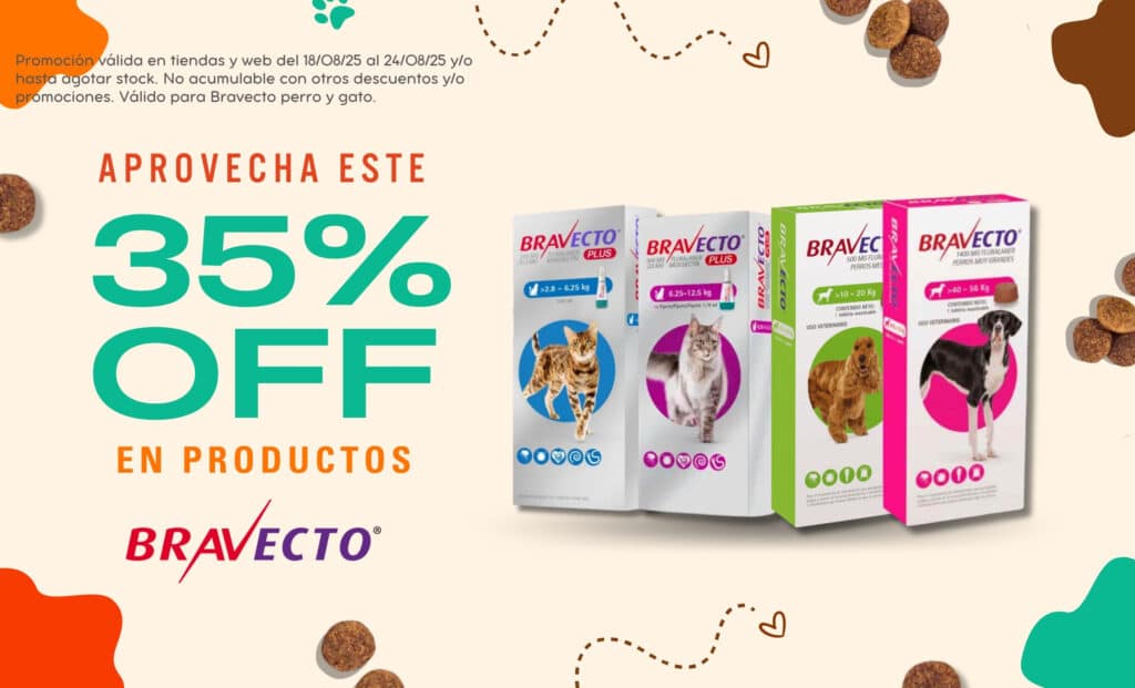 mascota