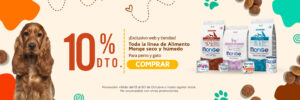 mascota