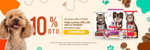 mascota