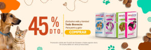 mascota