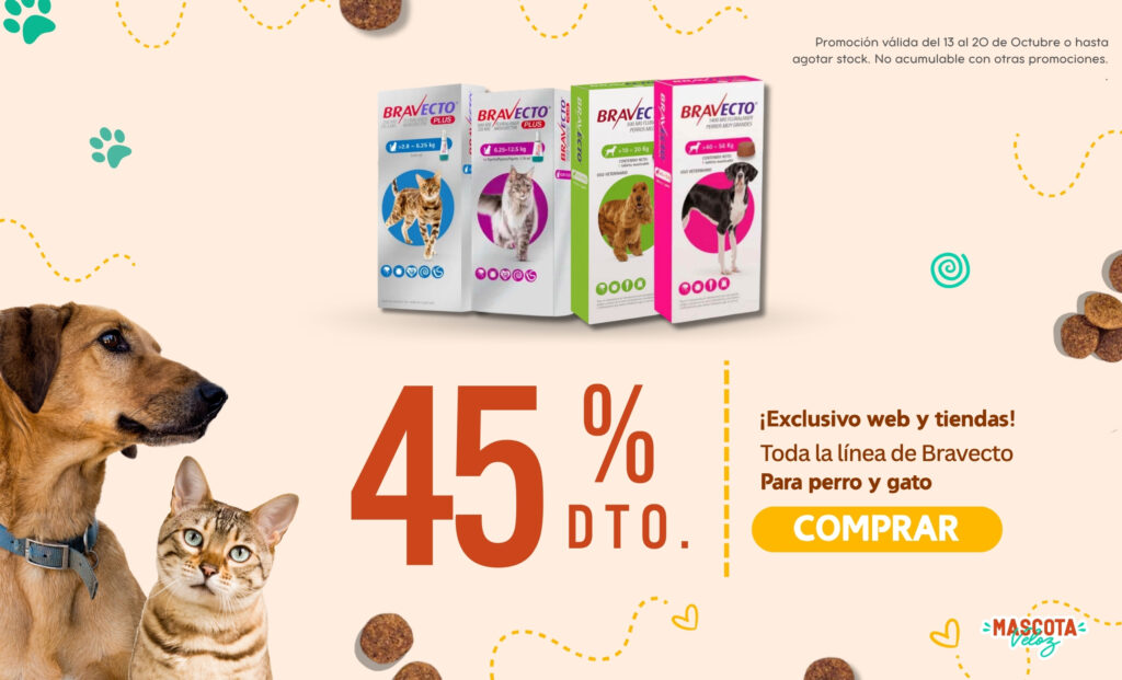 mascota