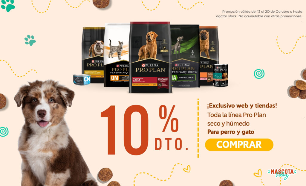 mascota