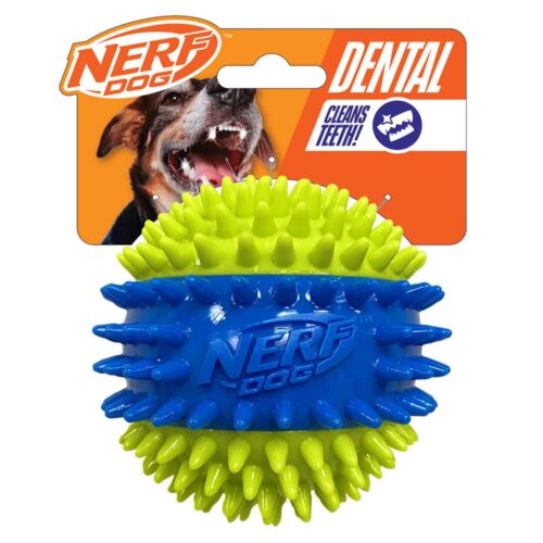 Nerf Dog Spike Squeak Ball Green/Blue