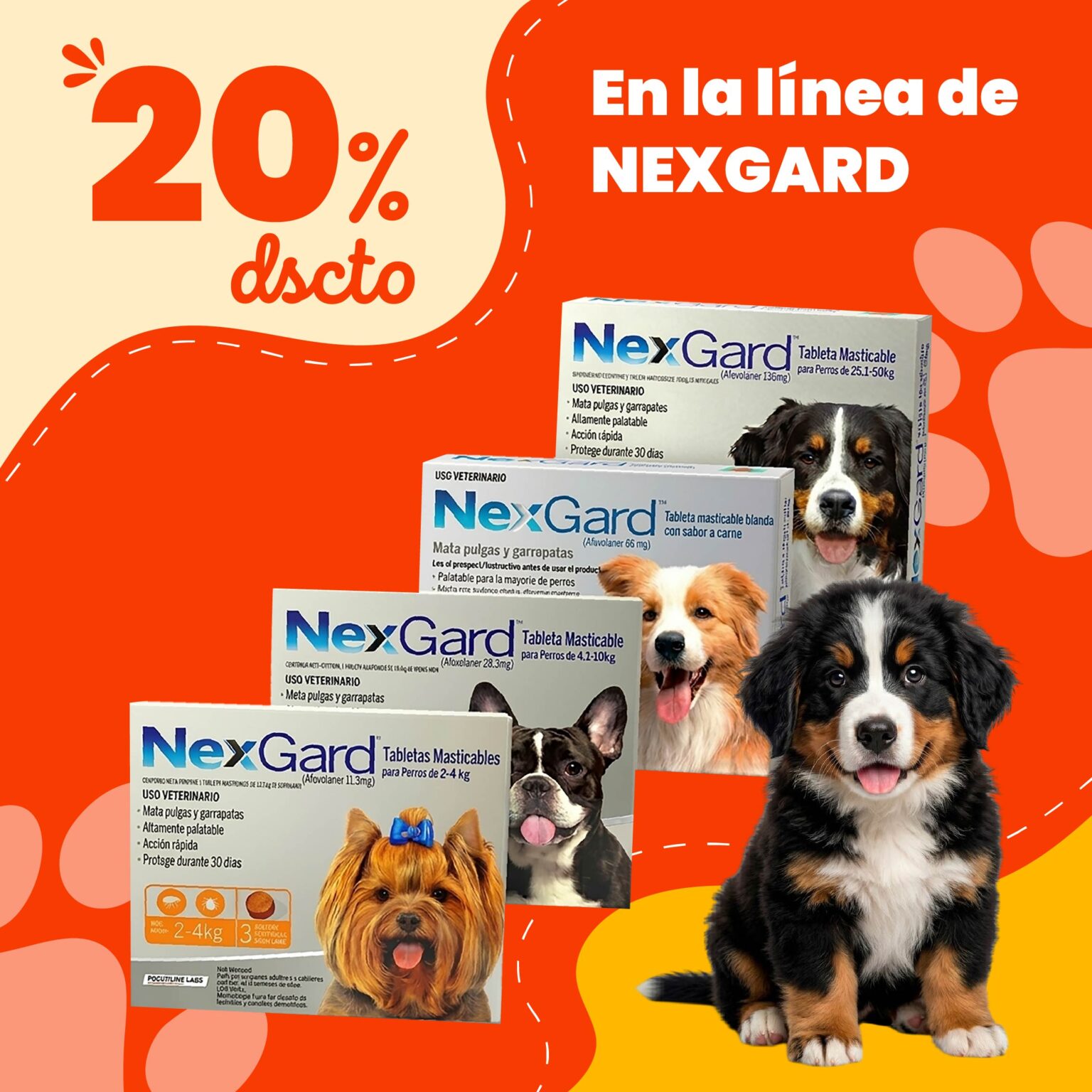 Oferta 1