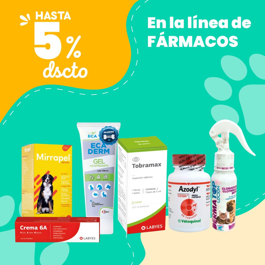 Oferta 1