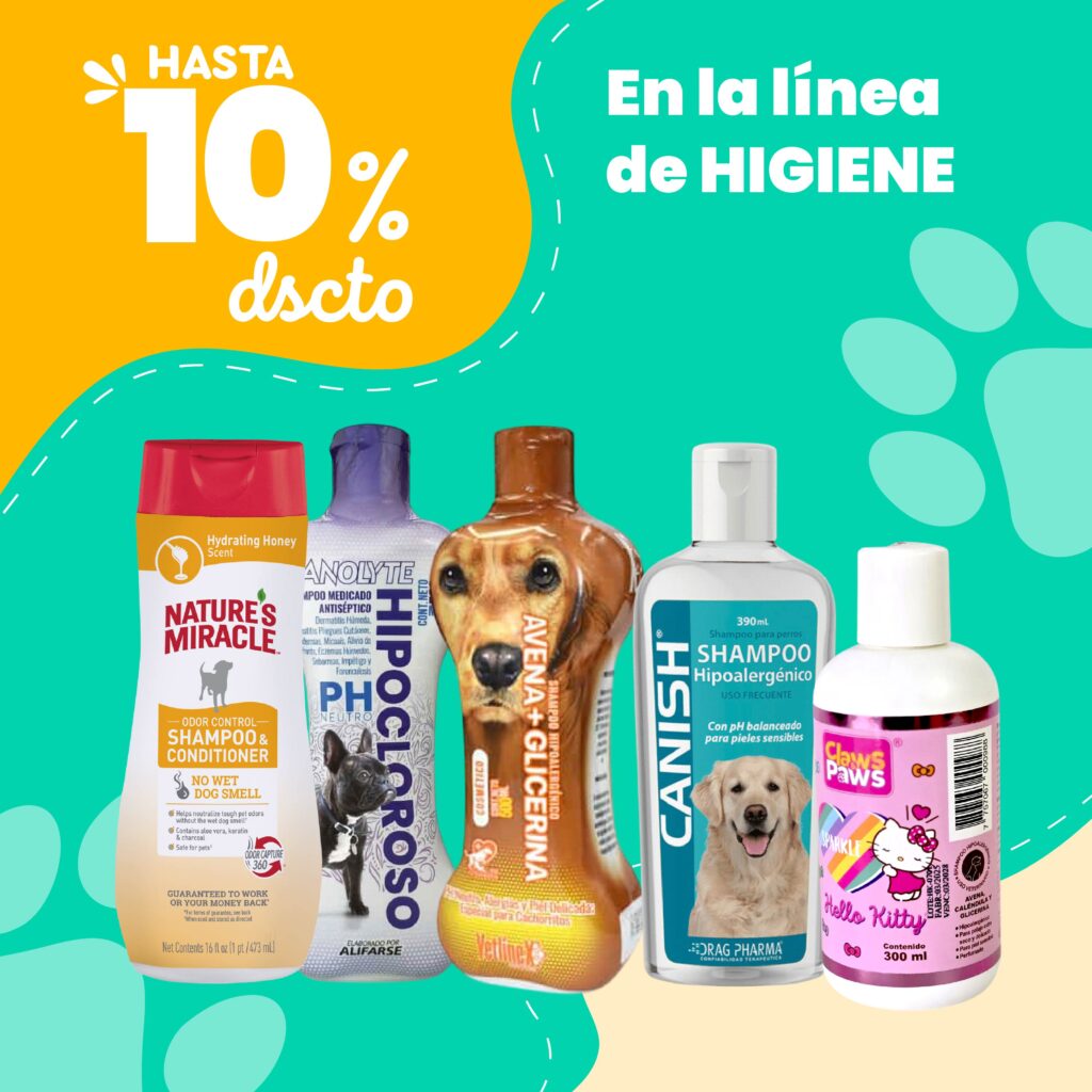 Oferta 1
