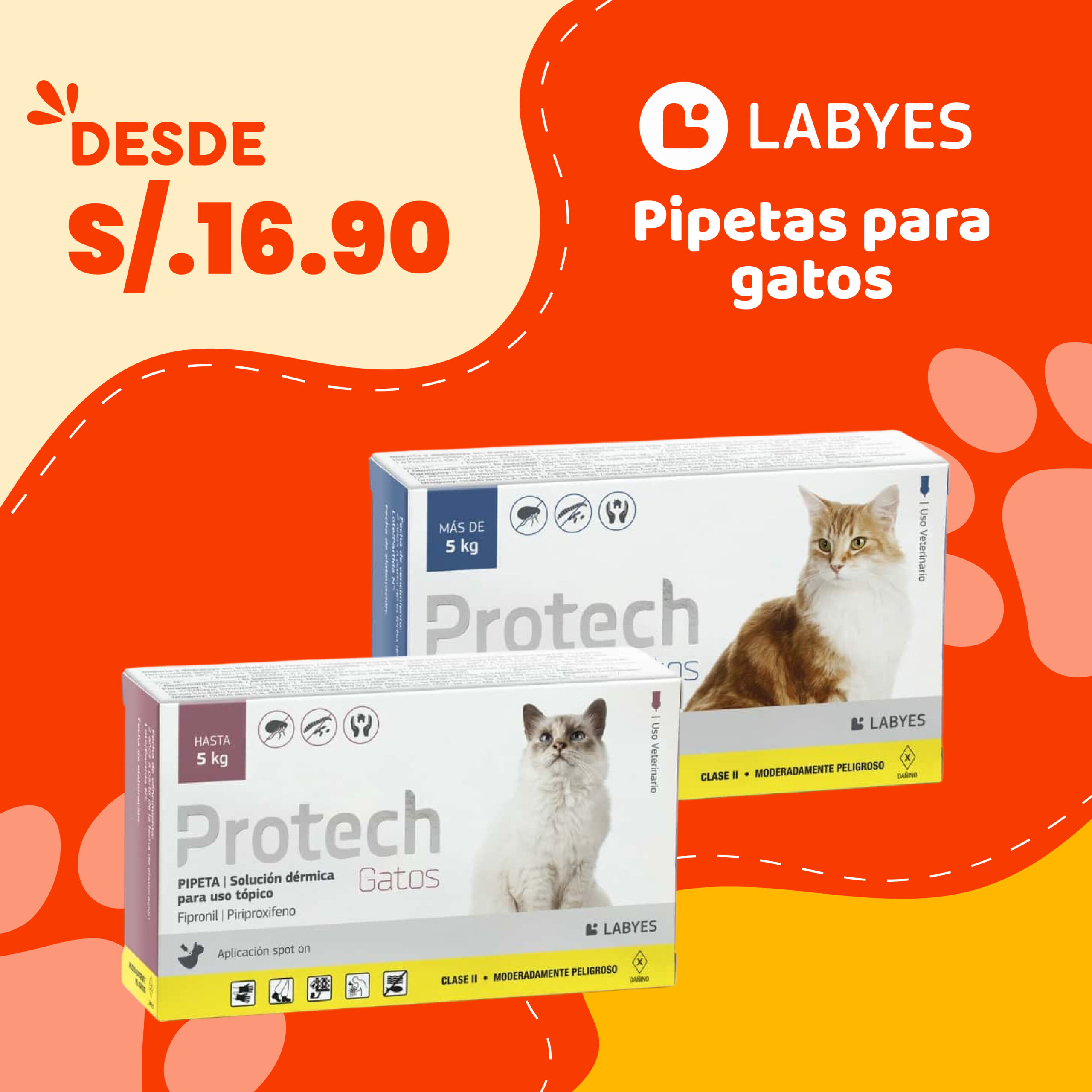 mascota